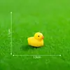 Musgo Micro-Paisagem Patinho Artesanato de Resina Planta Suculenta Decoração de Jardinagem Enfeites DIY Decorações de Mesa