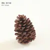 Xiumu Decorações de Natal Cruzadas Pingente de Pinha Guirlanda de Pinhas Naturais Selvagens Material DIY Fotografia de Natal
