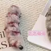 Grampo de Cabelo de Pelúcia Grande Estampa de Leopardo para Mulheres, Prendedor de Coque Grande, Acessório de Cabelo Banana Clip para Meio-Preso de Outono e Inverno