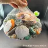 Caracola de Panadero al por mayor en stock para Decoración de Acuario, Diseño de Micro-Paisaje, Accesorios de Caracola para Conchas Hechas a Mano DIY