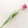 Venta al por mayor pegamento tacto sonrisa boca abierta Tulipán hotel decoración hogar con utilería para fotos diseño flores falsas flores de seda