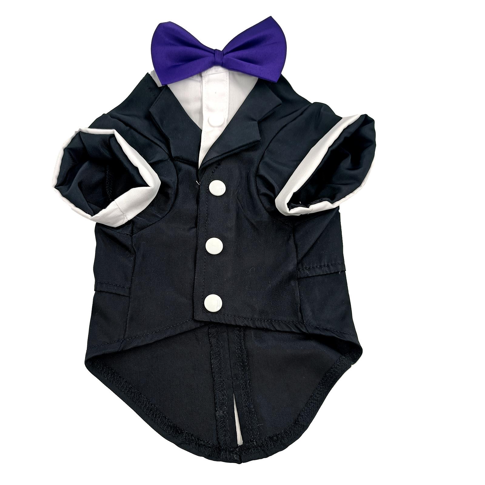 紫色领结西装平铺正面