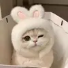 Sombrero para mascotas transfronterizo, tocado decorativo, disfraz de peluche para perros pequeños y gatos, accesorio lindo y divertido para fotos