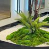 Venta directa de red roja grande simulación Nantianzhu plantación verde árbol falso interior y exterior paisaje seco paisaje plantas decorativas paisaje