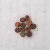 Kit de Materiales para Muñeca de Vaina de Frijol Accesorios Hechos a Mano DIY Colgante para Llavero Encanto para Bolso Campana de Viento de Cáscara de Fruta Natural Materias Primas al Por Mayor