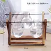 Jarrón de cristal creativo para arreglos florales de sala de estar, recipiente hidropónico transparente simple para plantas pequeñas, maceta de boca estrecha