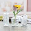 Vaso de Vidro Escandinavo Simples Vaso de Flores Hidropônico Mesa Pequeno Vaso de Flores Secas Frescas Ornamentos Decorativos