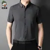 Camisa de hombre de manga corta 2022 verano nueva camisa para hombre de mediana edad casual sin costuras rayas una generación al por mayor