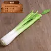 Modelos de frutas e vegetais vegetais verdes falsos pimentas vermelhas milho de espuma plástica rabanete abóbora enfeites decorativos adereços