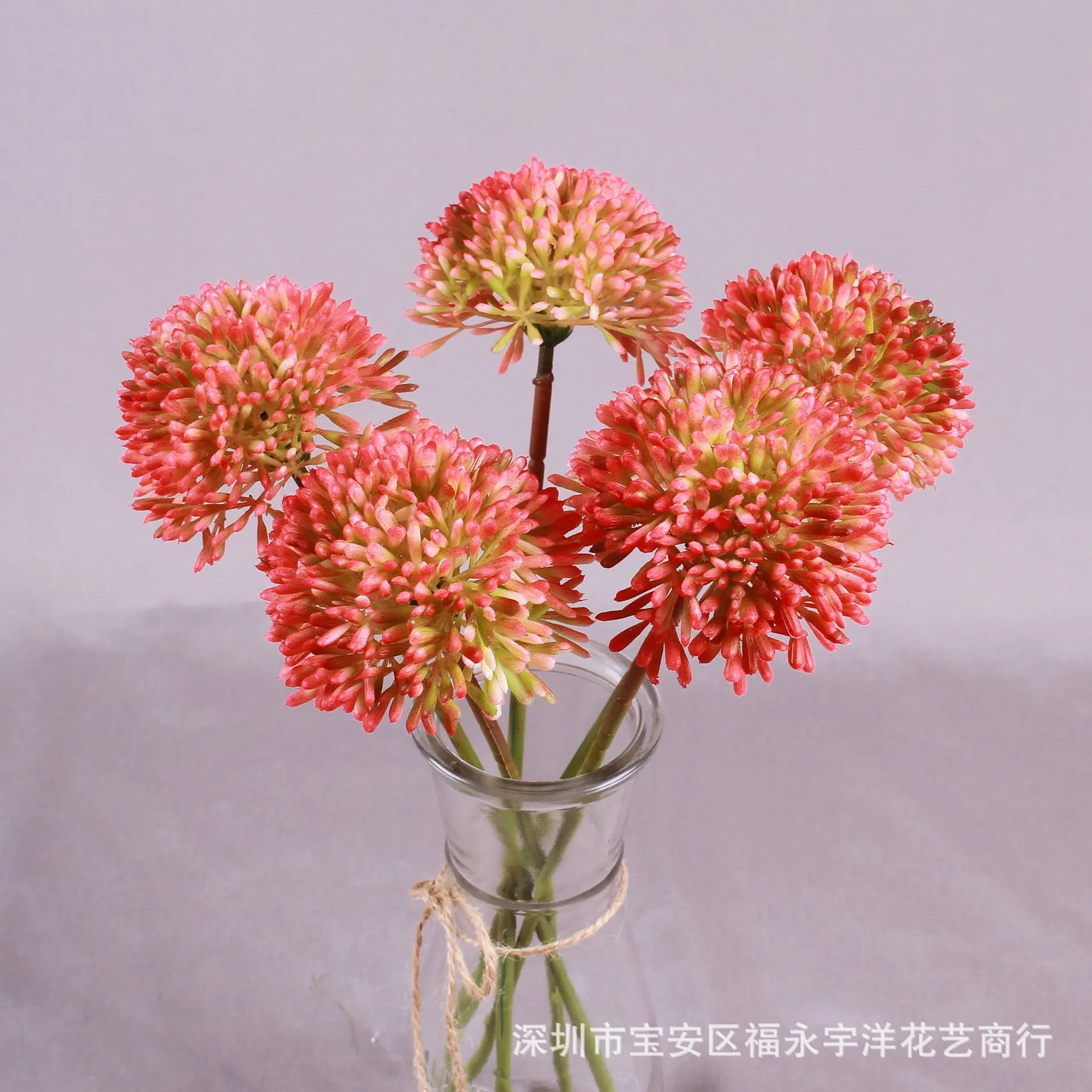 IMG_8588_副本.jpg
