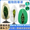Cubierta Aislante Frío de Polipropileno No Tejido para Verduras, Jardinería, Agricultura y Coberturas de Plantas, Venta Directa del Fabricante