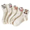 Meias Femininas de Lã para Primavera e Outono com Desenhos de Animais Cartoon, Meia-Calça, Meias Baggy Estilo Japonês Fofo para Meninas, Atacado