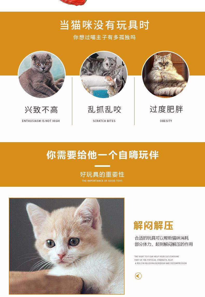详情_05