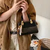 Bolsos de Mujer de Nicho Transfronterizos Modernos y Elegantes 2026 Nueva Moda Bolso Cruzado Versátil Bolso de Mano de Moda Bolso Cuadrado Pequeño Moderno