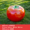 Esculturas Grandes de Frutas y Verduras Huerta de Frutas y Verduras Diseño de Granja Decoración de Modelado de Paisaje Adornos de Calabaza Modelos