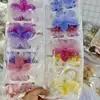 Presilha de Cabelo Flor Plumeria Popular Europeia e Americana Transfronteiriça para Mulheres, Presilha de Garra de Alta Qualidade para Penteado, Presilha de Tubarão em Cor Doce Gradiente, Atacado de Presilhas de Garra de Cabelo