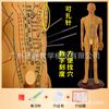 Modelo do Corpo Humano com Pontos de Acupuntura, Diagrama dos Doze Meridianos da Medicina Tradicional Chinesa do Corpo Inteiro, Modelo de Manequim de Cobre para Prática de Acupuntura, Pequeno Manequim de Pele