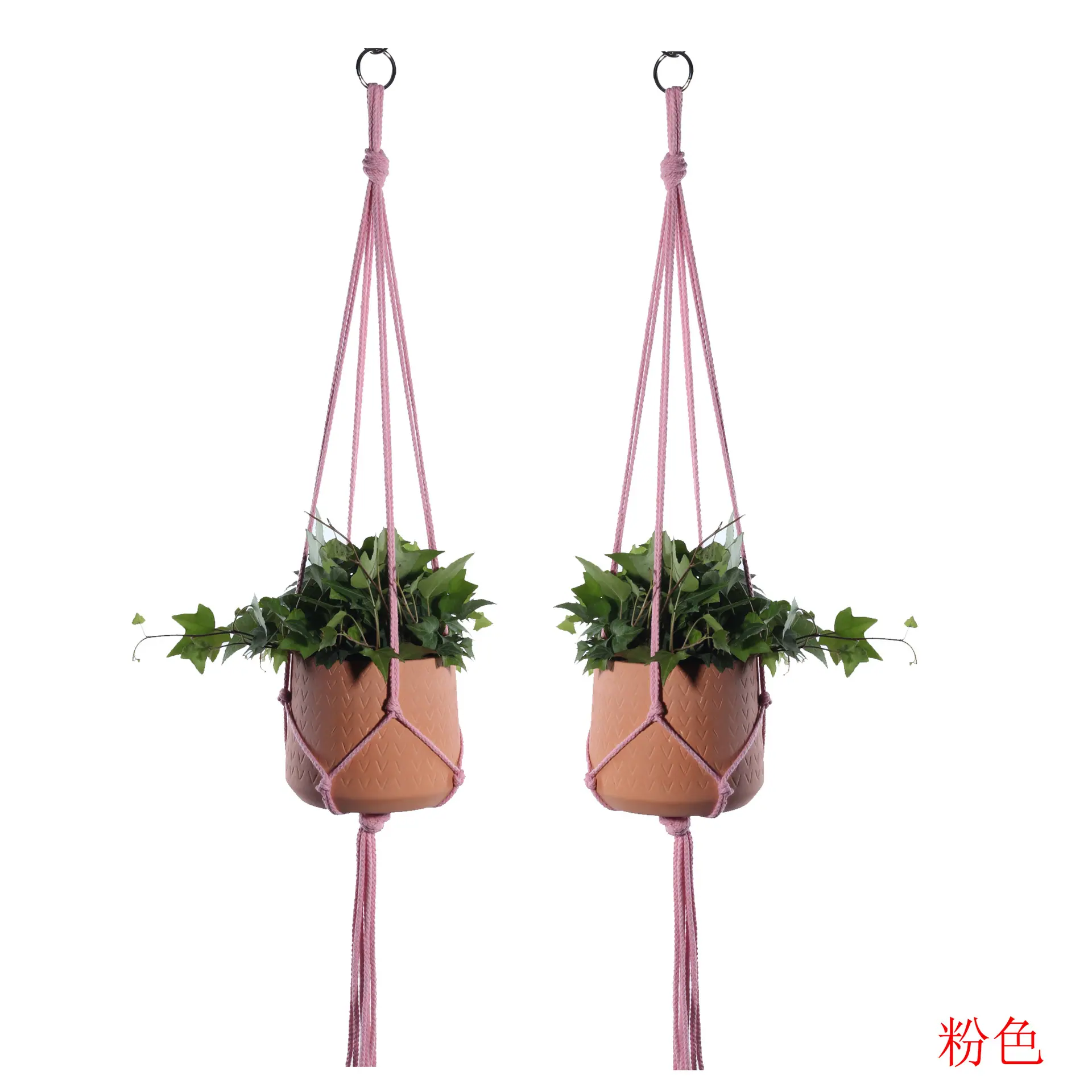 未标粉色2个题-2