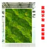 Parede de Plantas Simulada Parede Verde Decoração Externa Parede Eterna Recinto de Parede Hotel Shopping Parede de Celebridade da Internet Varanda Cabeça de Porta Decoração