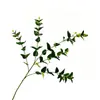 Planta verde artificial más vendida transfronteriza, eucalipto de un solo tallo con 5 ramas, flor artificial de plástico, sin mantenimiento para paredes de plantas y jardinería