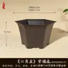 Maceta de flor de arena púrpura de imitación ramas doradas hojas de jade canicas doradas espárrago maceta bonsái en maceta para interior maceta de resina engrosada venta al por mayor