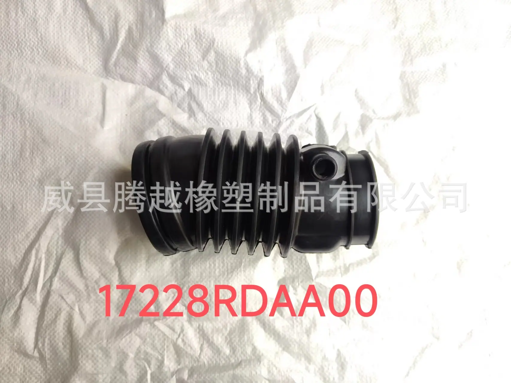 17228-RDAA00