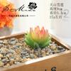 004 Cabeza de Flor de Planta Suculenta Verde Afelpada Suministros Creativos para Bricolaje Accesorios para Colgar en la Pared Decoración de Flores para el Hogar Planta Verde Shangyi