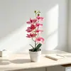 Flor Artificial Orquídea Phalaenopsis de 7 Cabeças em Vaso de Pedra, Decoração de Casa Ornamento Artificial de Planta Verde, Flor Falsa com Toque Realista para Mesa de Escritório Pequena Planta em Vaso