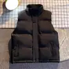Chaleco de estilo coreano para otoño e invierno para hombre y mujer, chaleco acolchado de algodón moderno con cuello alto, chaleco ajustado, chaleco cálido, chaleco versátil para caballo