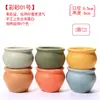 Maceta para pulgar suculenta mini mini maceta para pulgar maceta de cerámica para flores suculentas planta creativa flor pequeña Ma Long mesa Mai Tai Bao