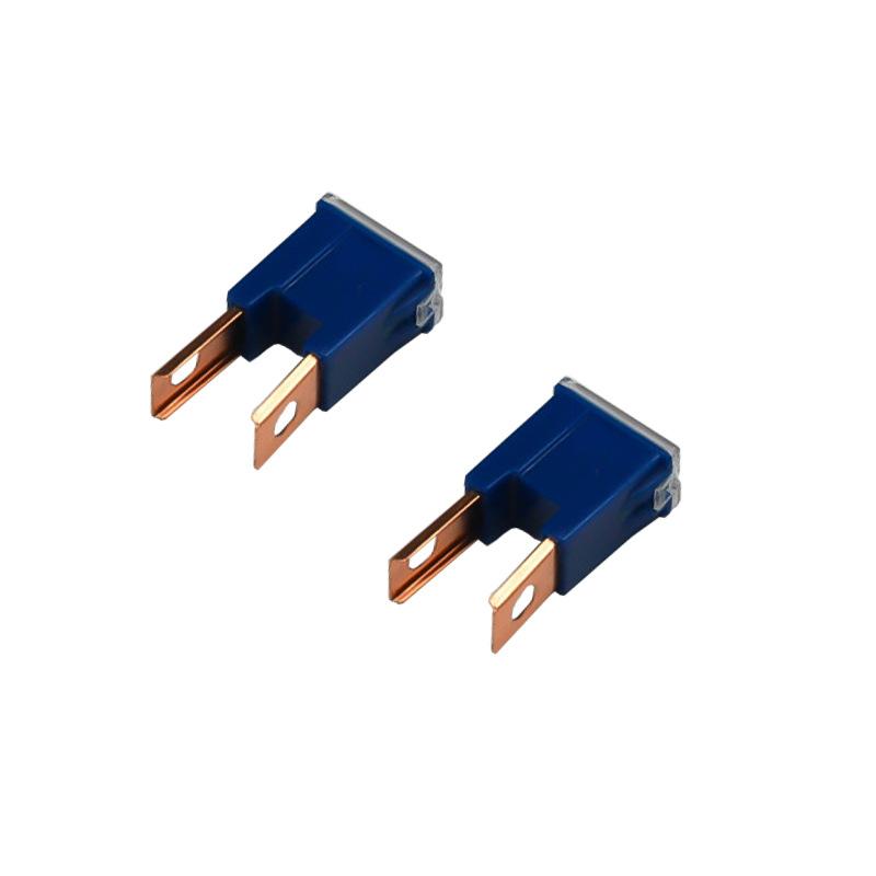 内插汽车保险丝1