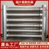 Radiador de Tubo Curvado de Acero con Aletas Wgwc-Ii-1600/8 Piezas Ngwc-Ii-1600/9 Piezas