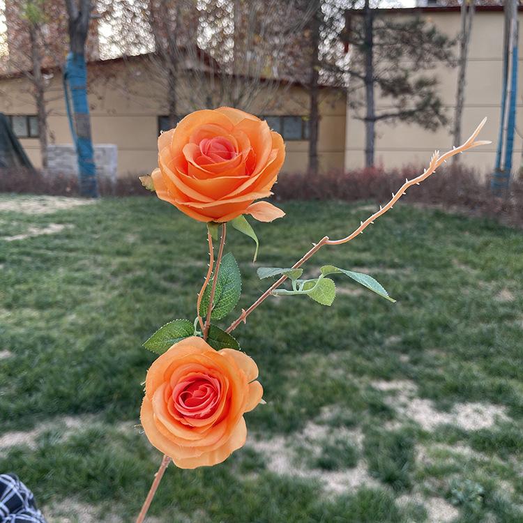 2头开心玫瑰-yxwmcx-桔色.JPG