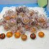 Bola Gashapon 2 Yuan Gashapon 3 Yuan Bola de Regalo Máquina Gashapon Máquina de Dulces Gashapon Familia de Ingeniería Dos Yuan Tres Yuan Bola de Regalo