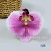 Película Phalaenopsis grande impresión 3D 11CM caja de dulces caja de regalo manual decoración tocado étnico producción