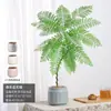 Jacaranda en Maceta Planta Verde de Interior para Oficina Estilo Japonés Sala de Estar Mueble de TV Planta de Piso Fácil de Mantener en Todas las Estaciones