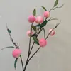 Galhos de Frutas para Véspera de Ano Novo Maçã Simulada Galhos de Romã Simulados Galhos de Frutas Caqui Caqui Ruyi Fa Cai Frutas Galhos de Pêssego