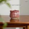 Vaso de Flor Carnuda Cerâmica Jardinagem Cerâmica Mini Novo Criativo Grés Casa Vintage Novo Vaso de Porcelana Vaso