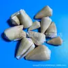 Artesanías de Caracolas Naturales Vendidas por Libra para Acuarios, Fotografía, Educación de Estudiantes y Niños, Minería y Uso Marino