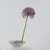 Galho Pequeno de Dente-de-leão 50cm Flor Artificial Dente-de-leão Moderno Decoração de Casa Arranjo de Flores Artificiais Decoração para Fotografia