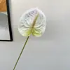 2026 Nuevo Modelo Plantas Verdes Artificiales Hierba de Espárrago Asparagus Asparaginea Decoración de Boda Flores Falsas Verdes Paisajismo Fotografía Plantas Verdes Estilo Bosque