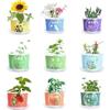 Prêmios para Alunos do Ensino Fundamental, Plantas Verdes para a Cerimônia de Abertura, Dia das Crianças, Compartilhamento de Turma de Jardim de Infância, Fonte de Mini Plantas em Vasos