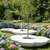 Banco de hormigón reforzado con fibra de vidrio con forma de pétalo para alcorque de árbol, asiento de florero de terrazo, lugar escénico de mar de flores, asiento de macizo de flores de piedra artificial para rodear árboles, popular en internet, artístico
