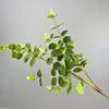 Simulación de impresión 3D de 16 hojas de eucalipto con forma de tenedor, ideal para decoración del hogar, bodas, paisajismo, plantas verdes, bonsái.