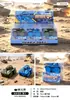 Nuevo Modelo de Vehículo de Combate Todoterreno Qingtian Camuflaje Plástico Coche Pequeño Juguete Deslizante para Niños Colección de Escritorio para Niños Adorno