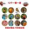 Pegatinas de Vidrio Serie Pájaros Frescos y Naturales con Colibríes, Loros, Martín Pescadores, Pinzones Grises y Otros Tipos de Pájaros Pequeños, Así como Imanes Suaves para Refrigerador