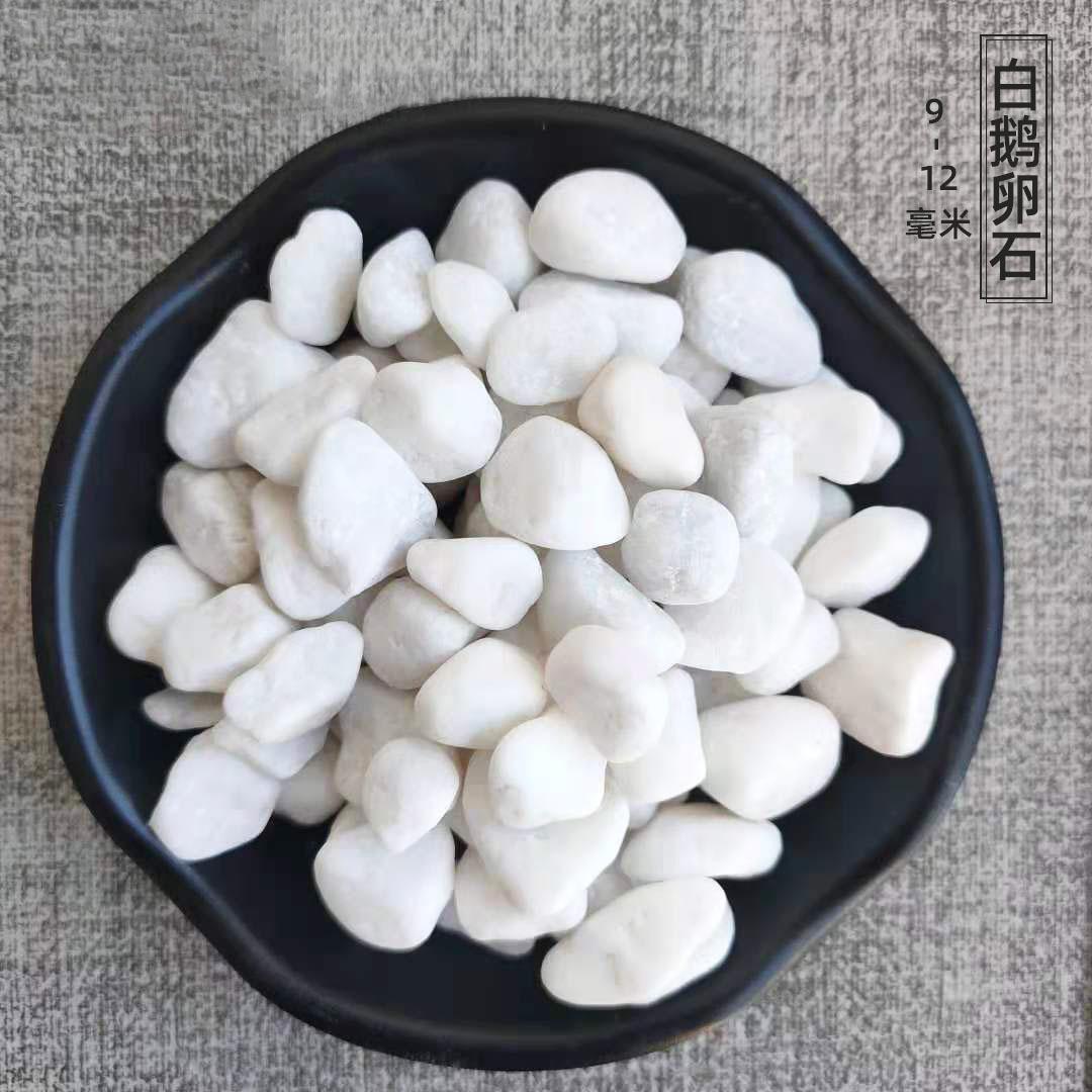 机制抛光白石子9-12mm650元