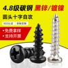 Tornillos Autorroscantes Pequeños de Acero al Carbono Grado 4.8 con Cabeza Redonda Phillips Niquelados Tornillos Autorroscantes para Madera de Cabeza Plana Negra M2-M4M5