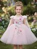 Vestido de Princesa Hada de las Flores para Niñas Vestido de Ala de Mariposa Espalda Descubierta con Aplicaciones para Niñas Falda de Malla para Niñas