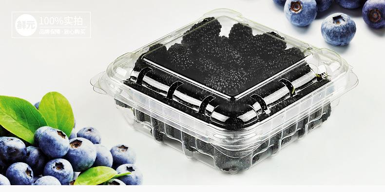 蓝莓盒125克-详情页_01.jpg
